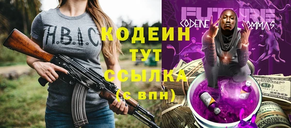 индика Пролетарск