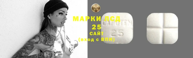 индика Пролетарск