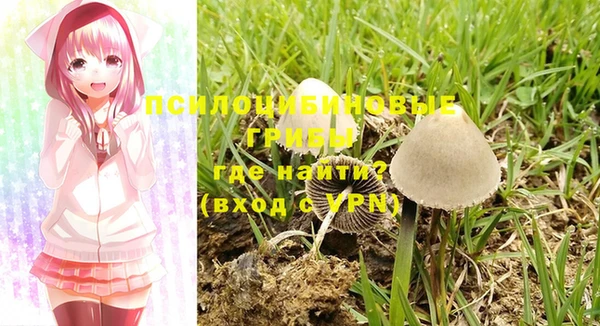 apvp Абдулино