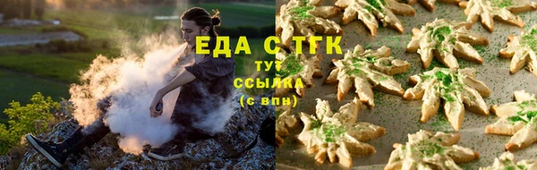 индика Пролетарск